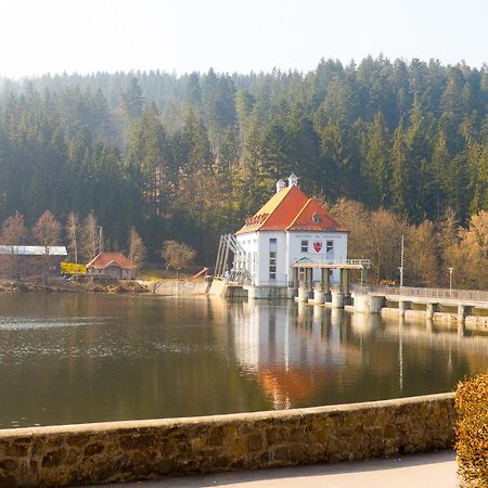Ferienhaus Nr 15, Typ A, Feriendorf Jaegerpark, Bayerischer Wald Viechtach Buitenkant foto